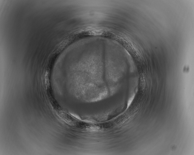 X0000097600598200803211701