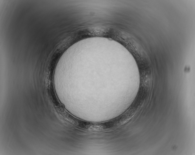 X0000097600599200803211701