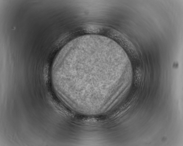 X0000097600600200803211701