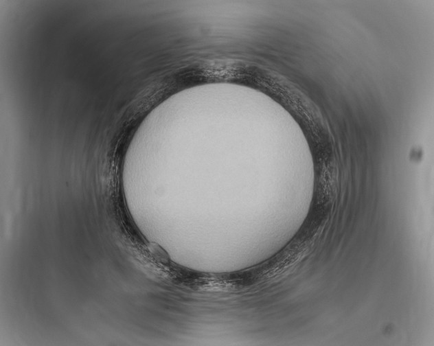 X0000097600601200803211701