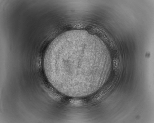 X0000097600602200803211701