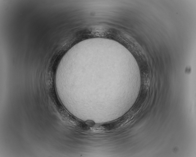 X0000097600603200803211701