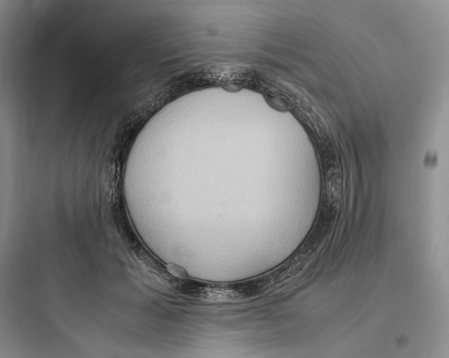 X0000097600605200803211701