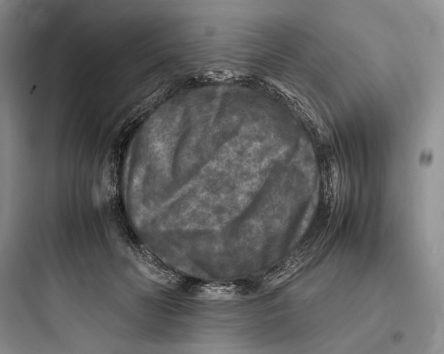 X0000097600606200803211701