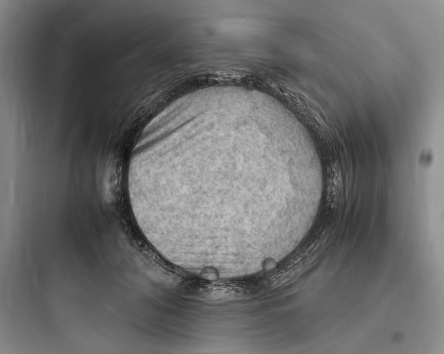 X0000097600608200803211701