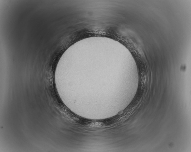 X0000097600609200803211701