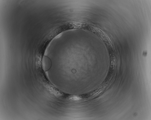 X0000097600610200803211701