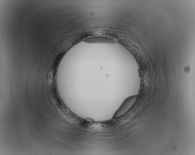 X0000097600611200803211701