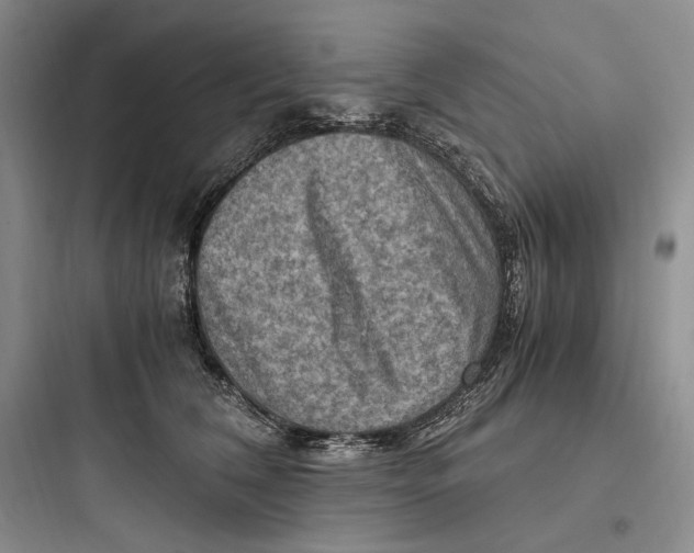 X0000097600612200803211701