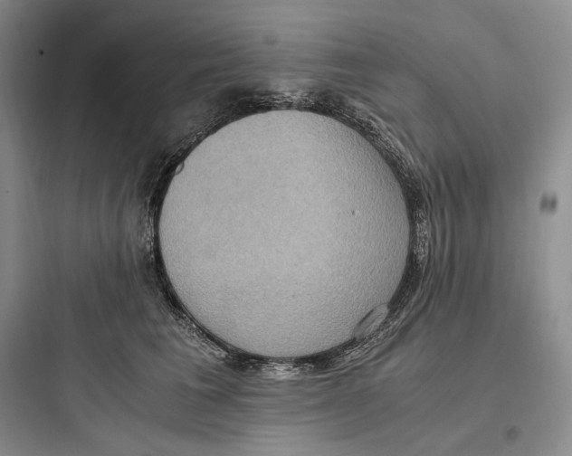 X0000097600613200803211701