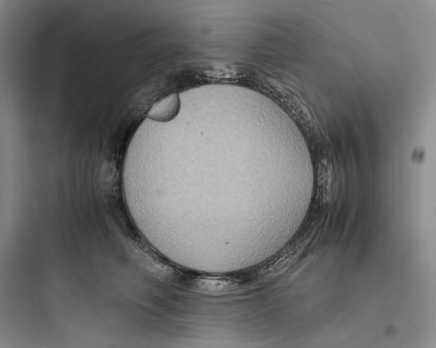 X0000097600614200803211701