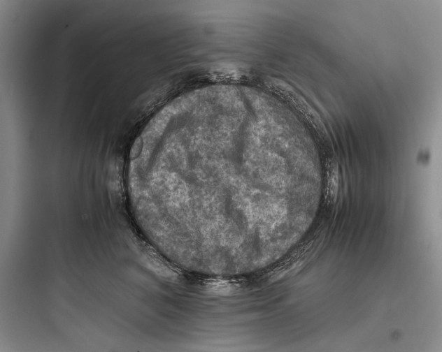 X0000097600616200803211701