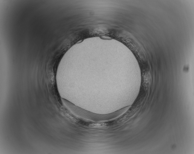 X0000097600617200803211701