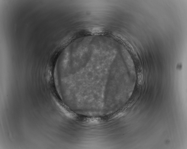 X0000097600618200803211701