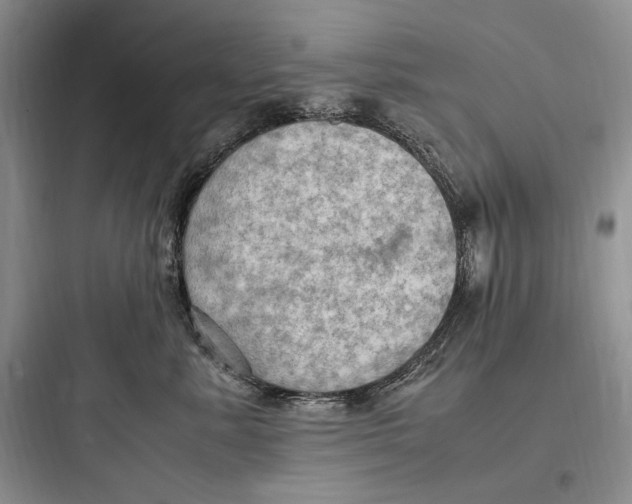 X0000097600619200803211701