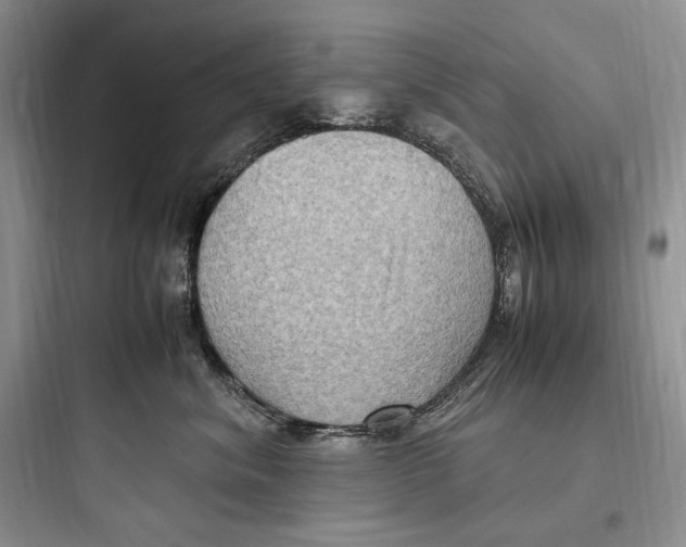 X0000097600620200803211701