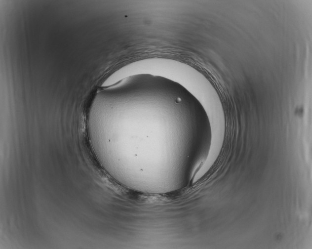 X0000097600621200803211701