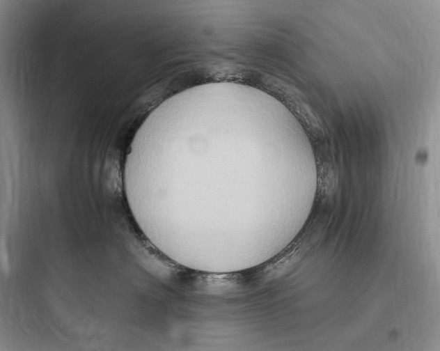 X0000097600622200803211701