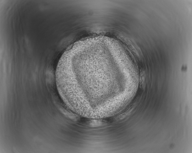 X0000097600623200803211701