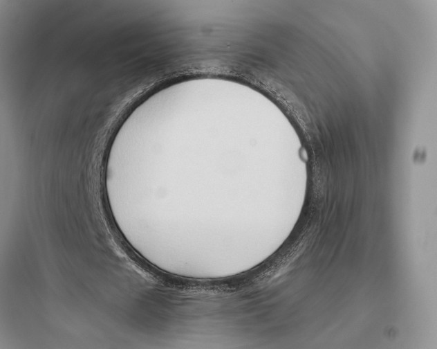 X0000097600625200803211700