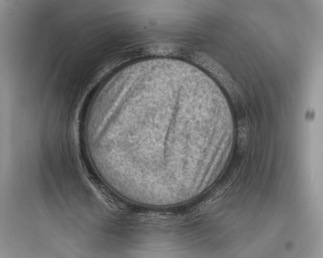 X0000097600626200803211700