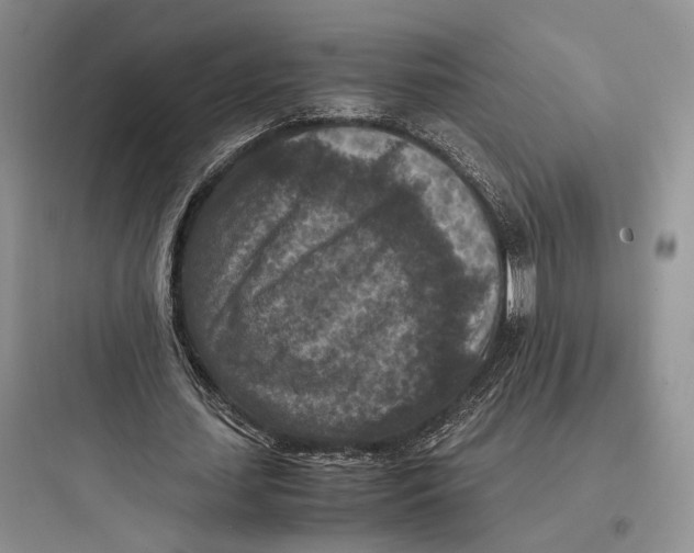 X0000097600627200803211700