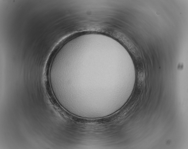 X0000097600628200803211700