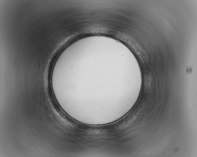 X0000097600629200803211700
