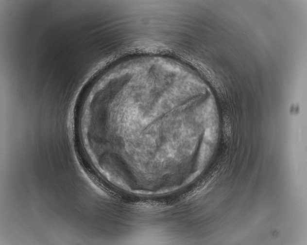 X0000097600630200803211700