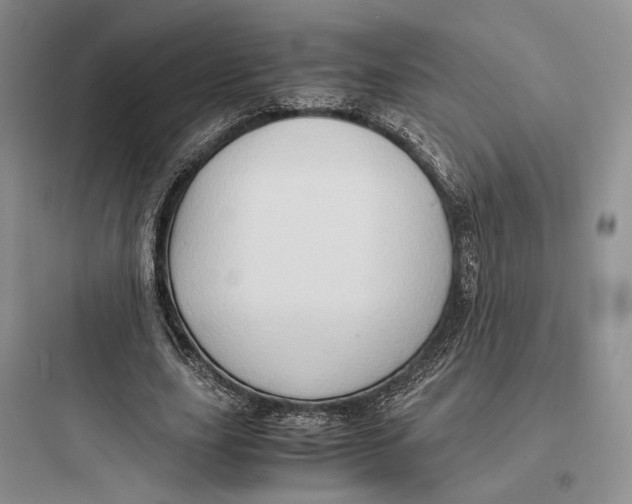 X0000097600631200803211700