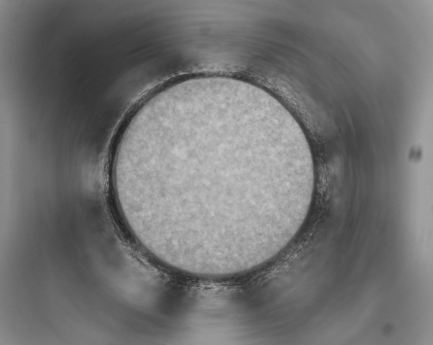 X0000097600632200803211700