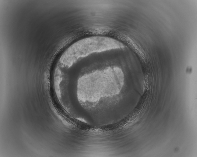 X0000097600634200803211700