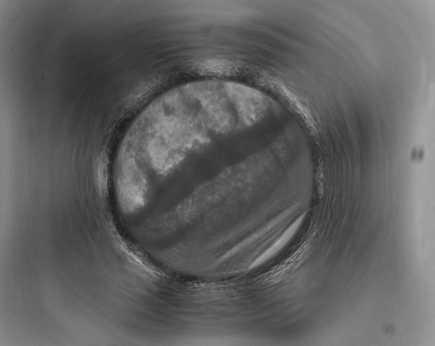 X0000097600637200803211700