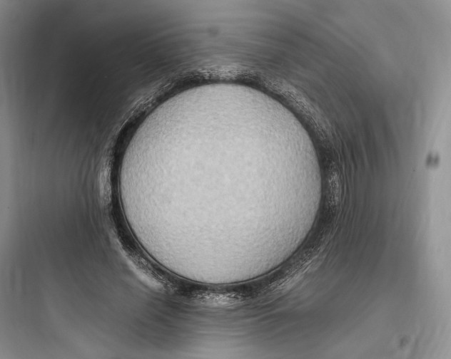 X0000097600638200803211700