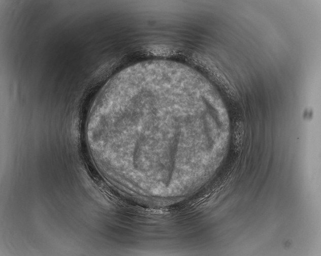 X0000097600639200803211700
