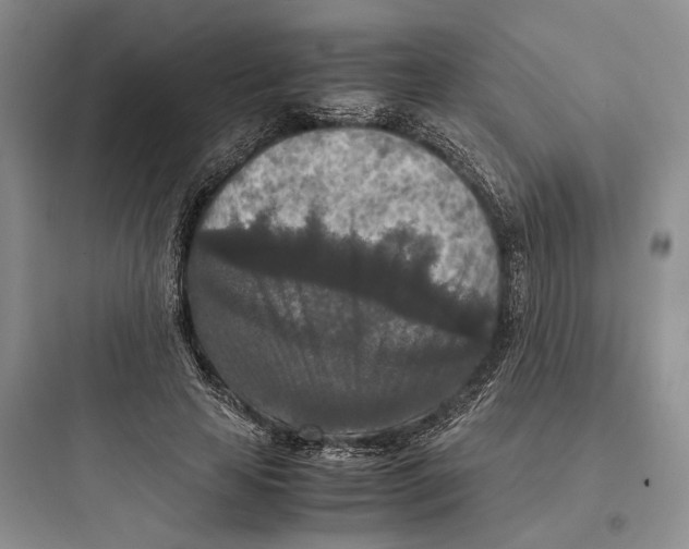 X0000097600641200803211700