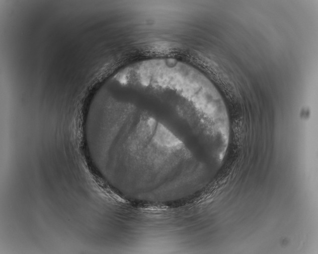 X0000097600642200803211700