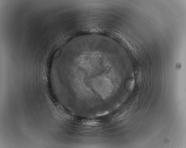 X0000097600643200803211700