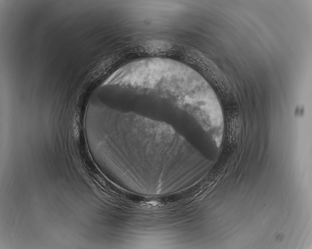 X0000097600644200803211700