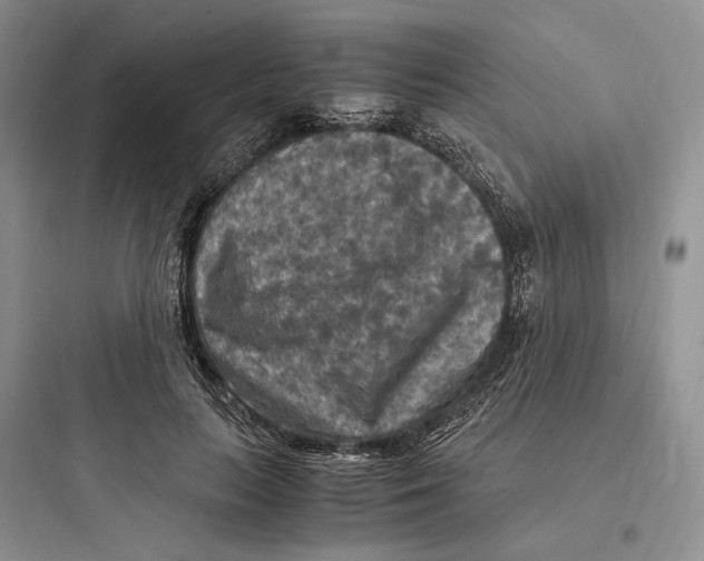 X0000097600647200803211700