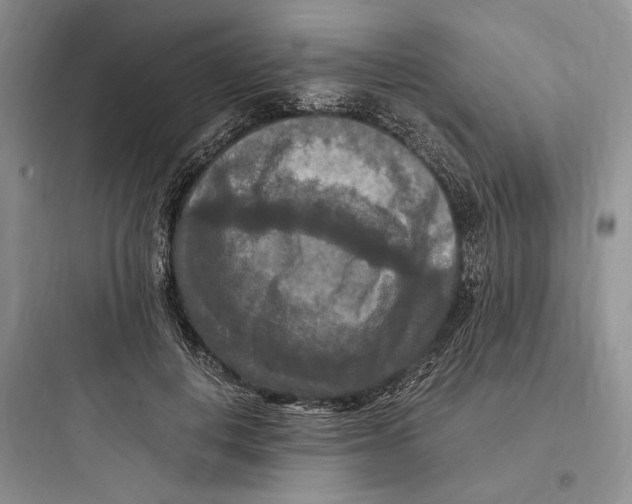 X0000097600648200803211700