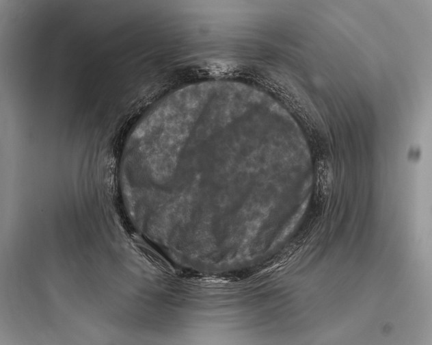 X0000097600650200803211700