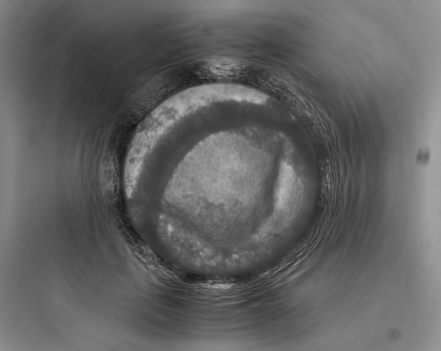 X0000097600651200803211700
