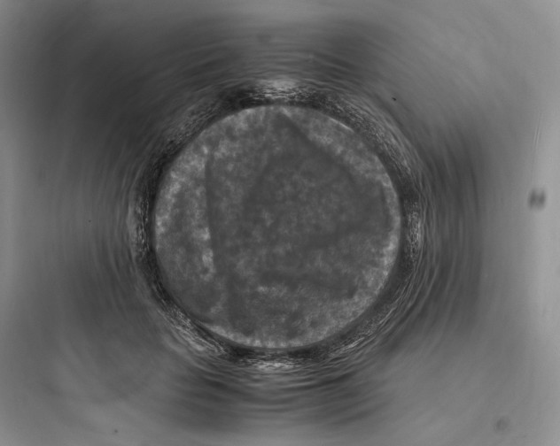X0000097600653200803211700