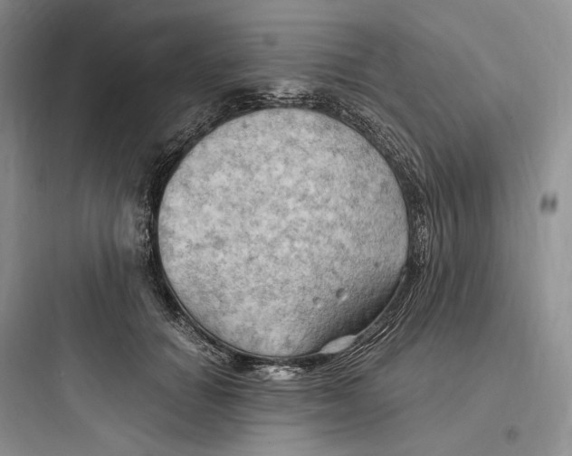 X0000097600654200803211700