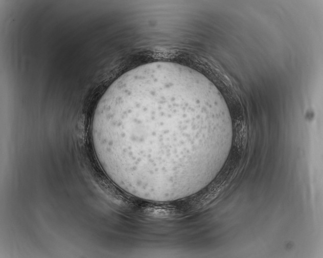 X0000097600655200803211700