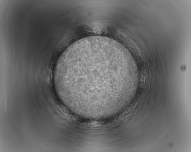 X0000097600656200803211700