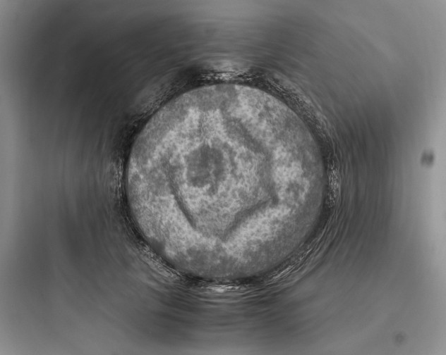 X0000097600657200803211700