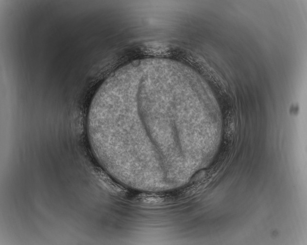 X0000097600658200803211700