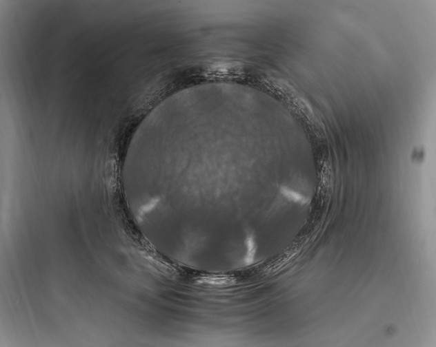 X0000097600659200803211700